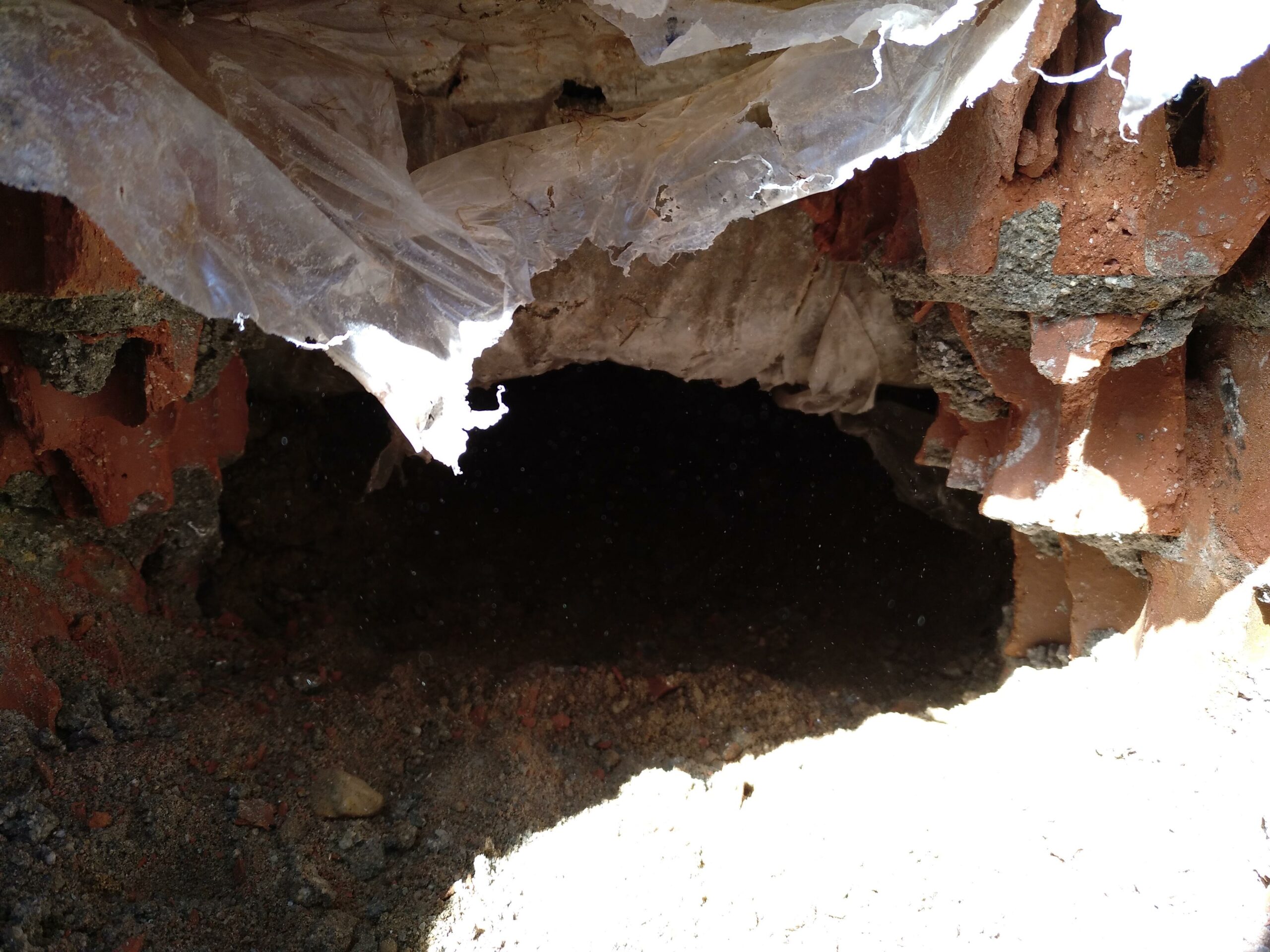 Excavación